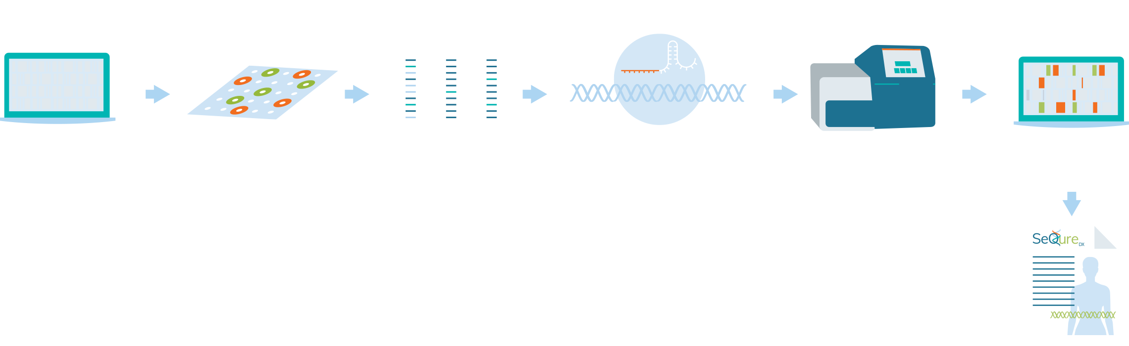 ONE-seq workflow