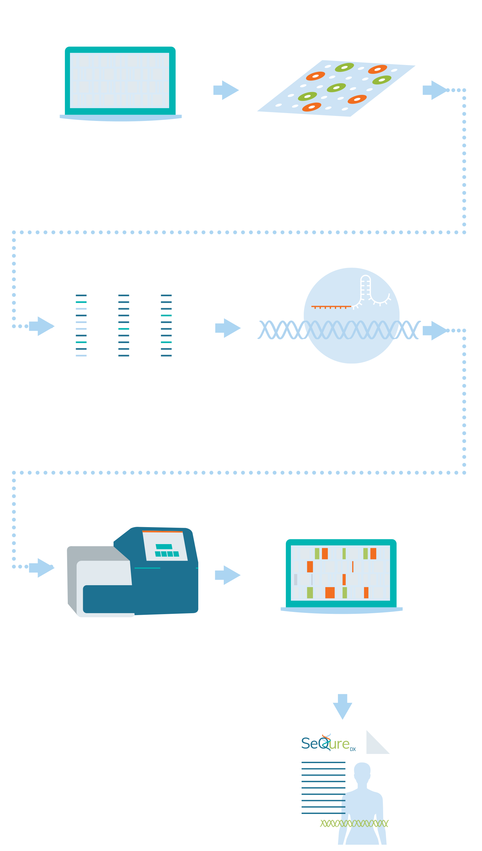 ONE-seq workflow