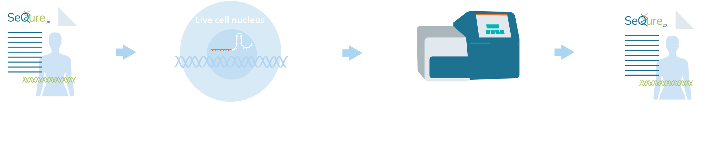 ScopeSeq workflow graphic