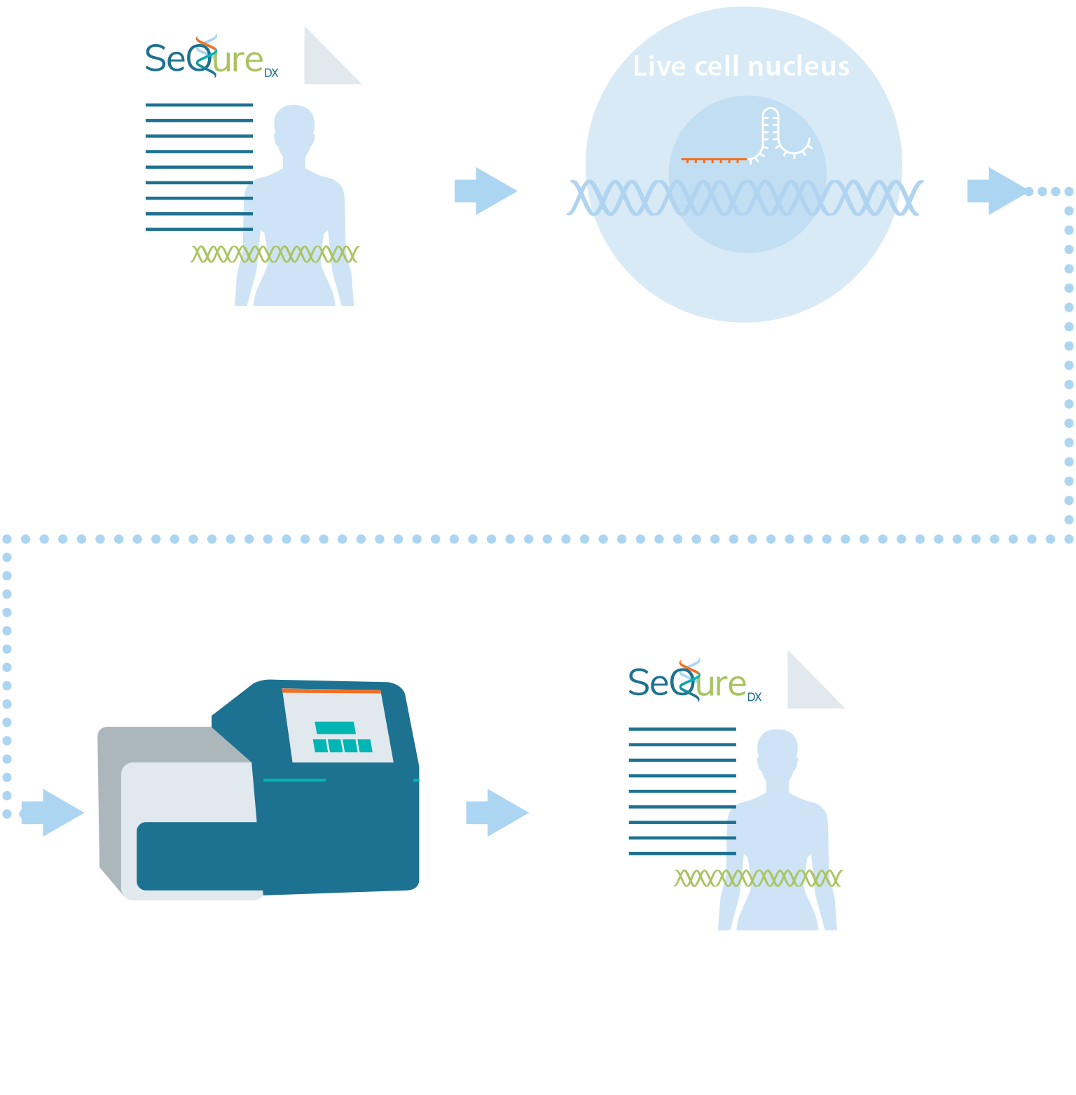 Infog_ScopeSeq_mobile ScopeSeq workflow graphic
