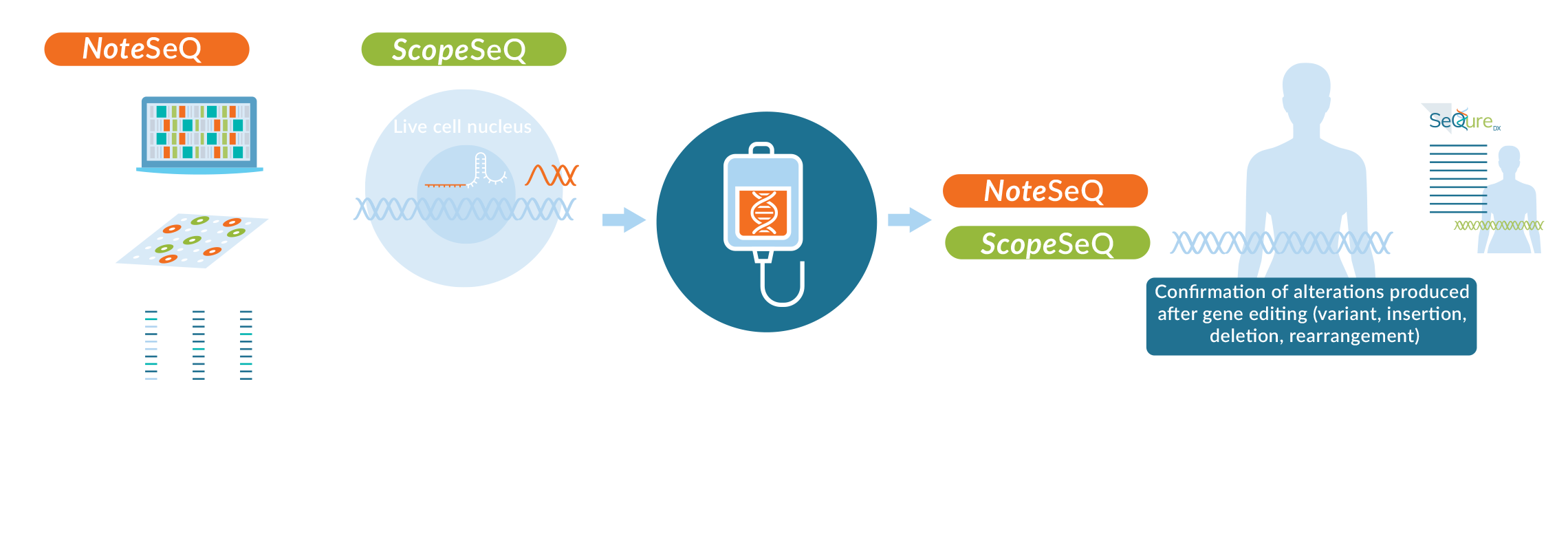 OneSeq Infographic showing process of using NoteSeq and ScopeSeq