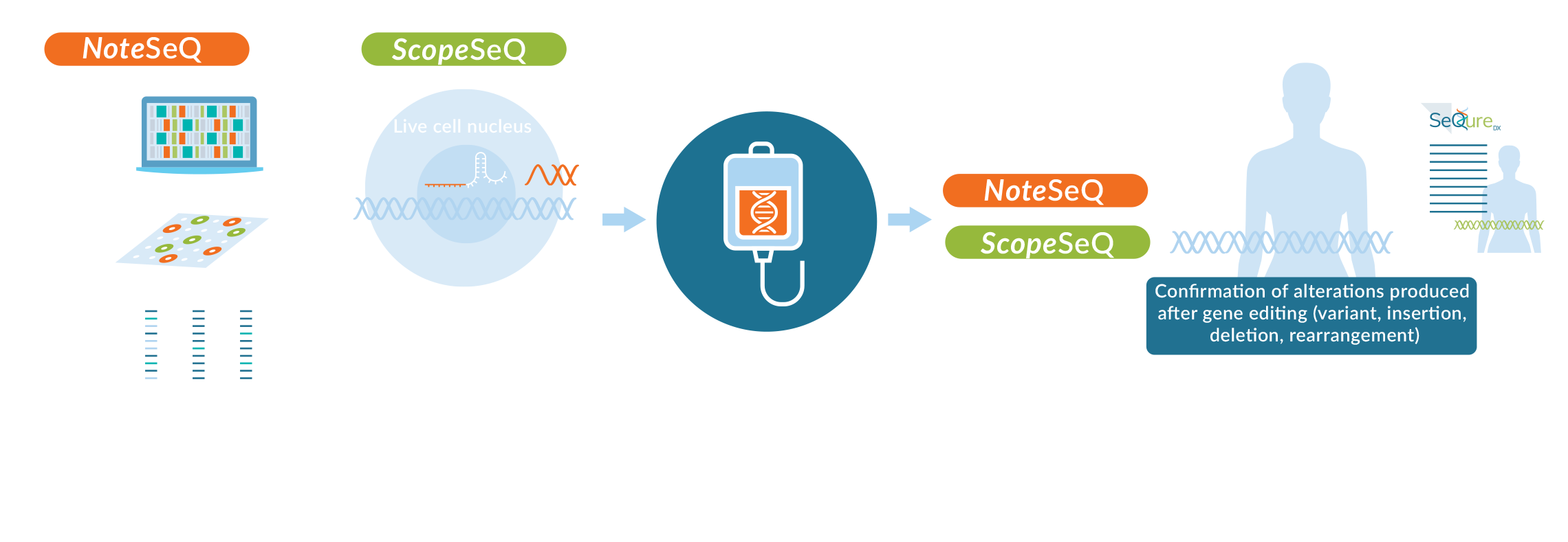 ScopeSeQ_Infographic_Desktop OneSeq Infographic showing process of using NoteSeq and ScopeSeq